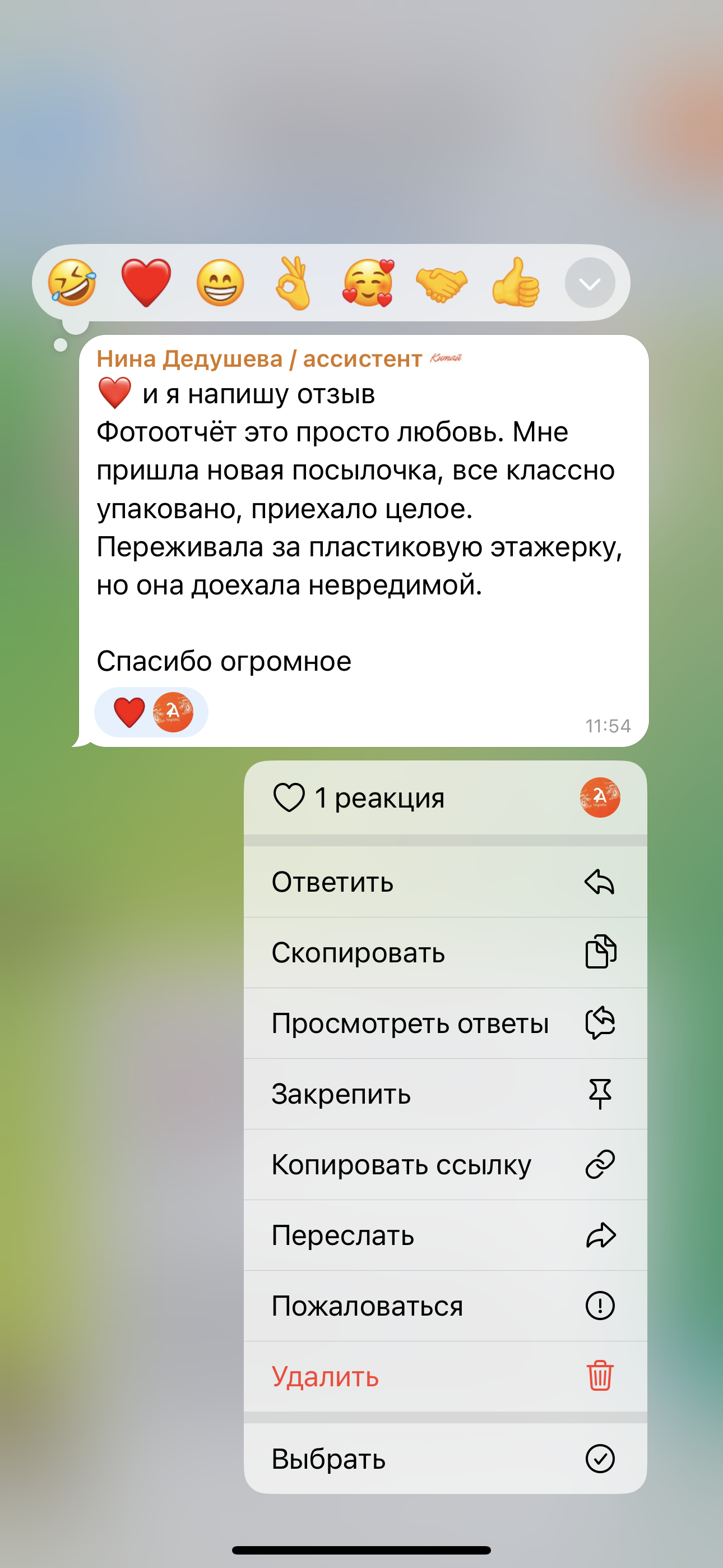 Отзыв клиента Нина о компании 2А Логистик